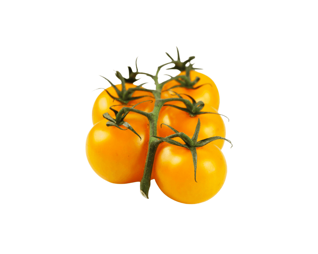 Tomate Gelb
