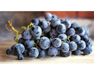 Weintrauben blau Schale