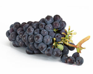 Weintrauben blau 500g schale