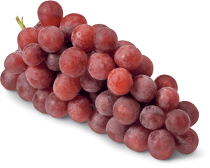 Weintrauben RedGlob